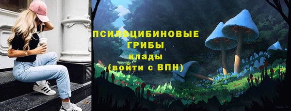 трава Дмитриев