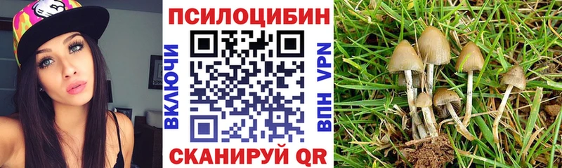 Купить  Кудрово  Псилоцибиновые грибы мицелий 
